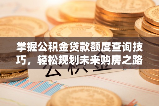 虞城掌握公积金贷款额度查询技巧，轻松规划未来购房之路