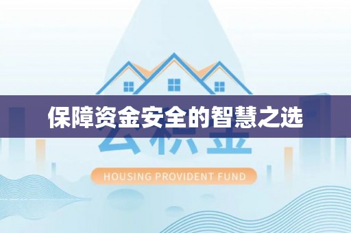 虞城保障资金安全的智慧之选